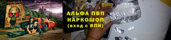 ECSTASY Богородск