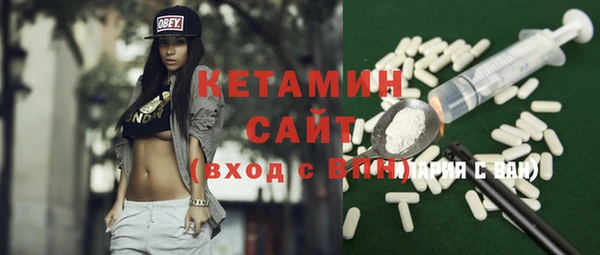 крисы Бородино