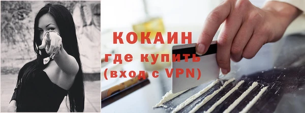 крисы Бородино