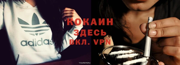 крисы Бородино