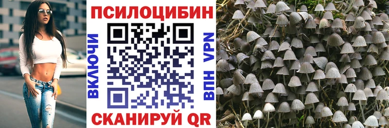 блэк спрут сайт  маркетплейс формула  Галлюциногенные грибы Psilocybine cubensis  где можно купить   Городовиковск 